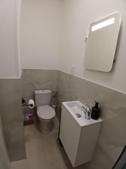 Appartement F1 Orchidee ミュルーズ エクステリア 写真