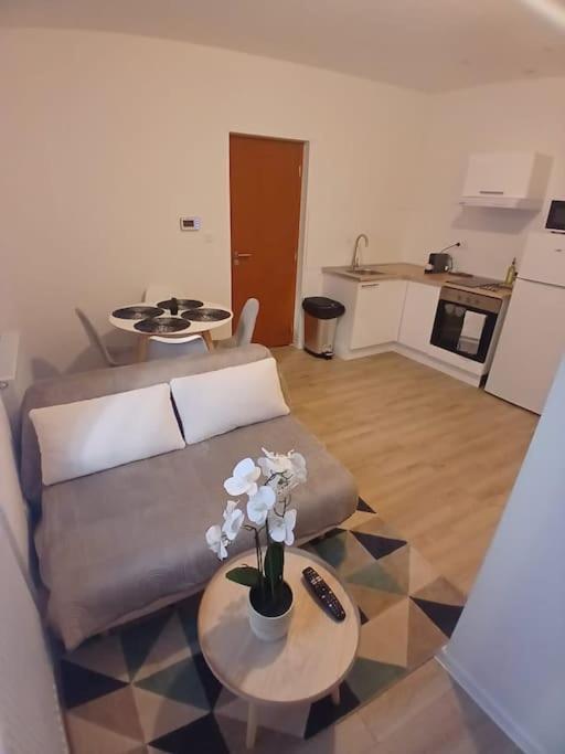 Appartement F1 Orchidee ミュルーズ エクステリア 写真