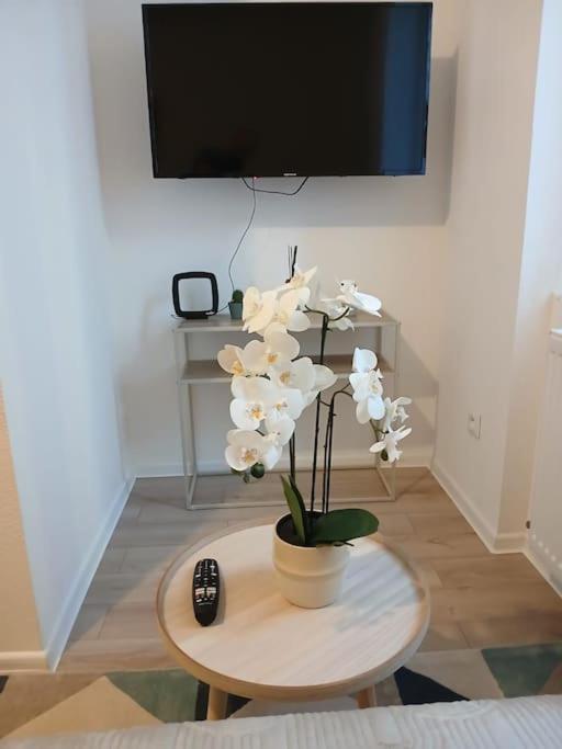 Appartement F1 Orchidee ミュルーズ エクステリア 写真